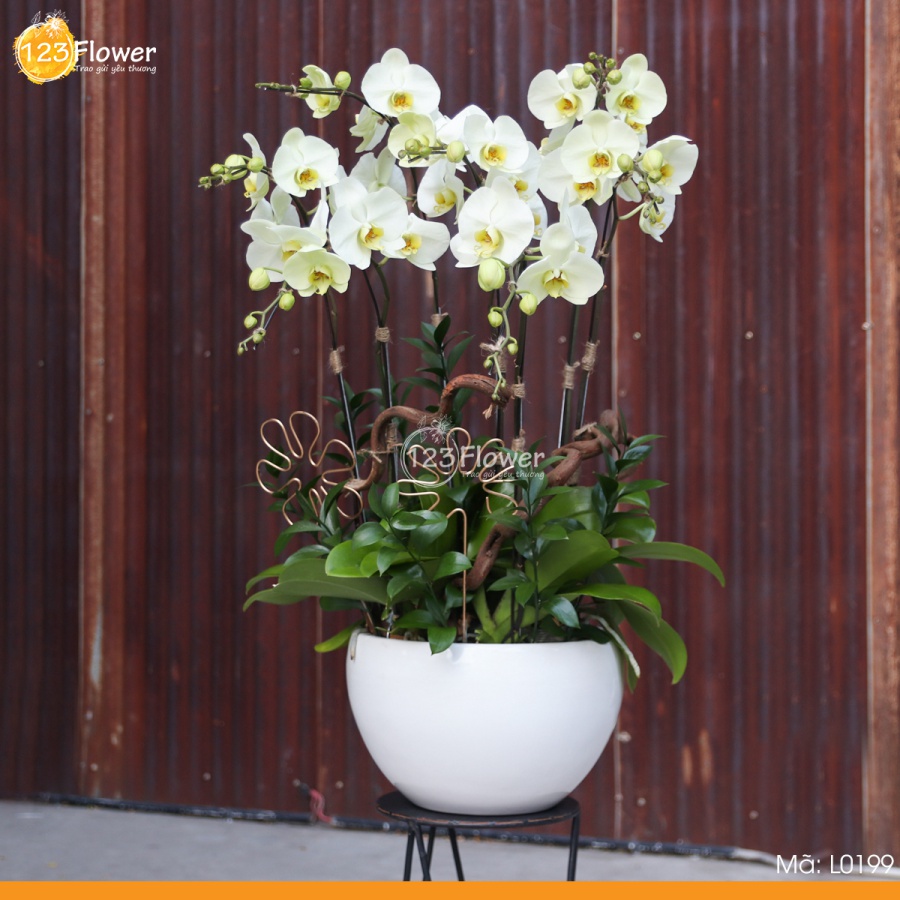 L0199-123Flower.jpg 6b8281f3614d7fbe2833af8a4ab02e2c_1620279049_2978.jpg